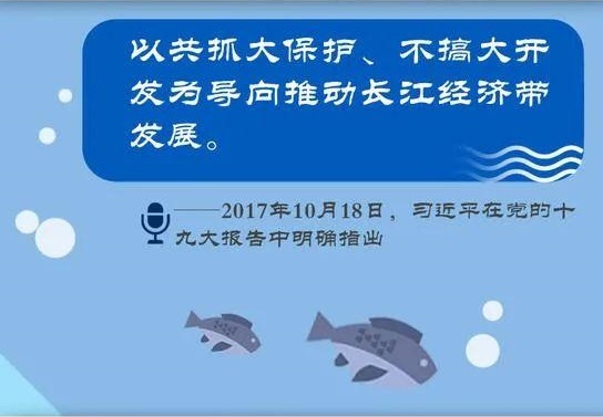 長江大保護 飛燕在行動丨飛燕遙感深度參與長江經(jīng)濟帶生態(tài)環(huán)境保護